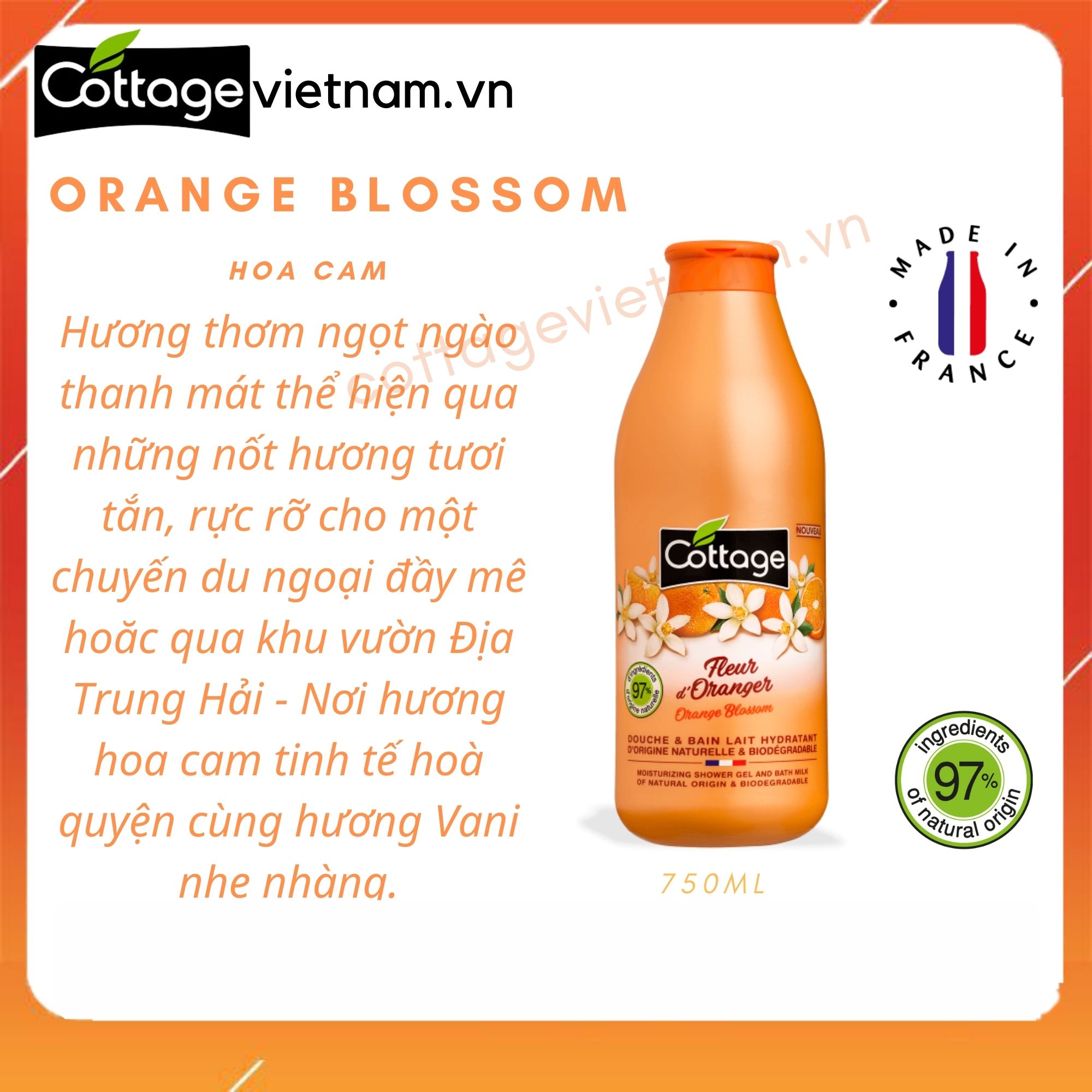 [Chai lớn 750ml-Đủ mùi]- Sữa tắm Cottage chính hãng của Pháp