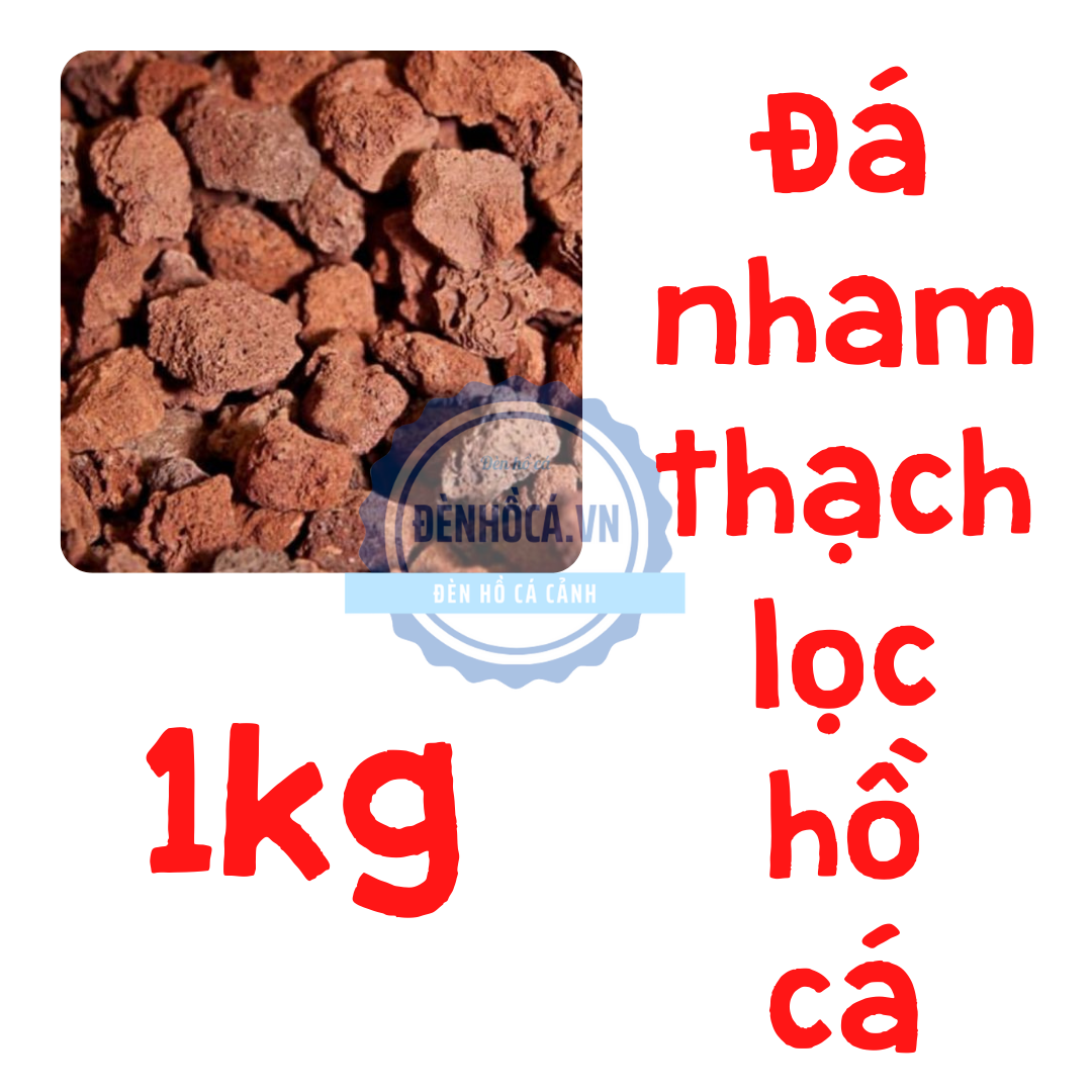 Đá nham thạch phụ kiện lọc cho hồ cá cảnh