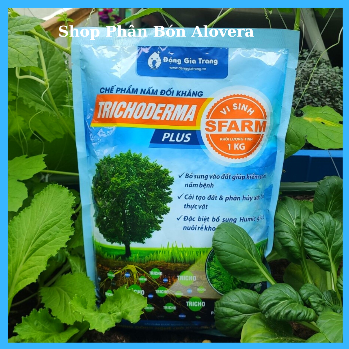 Chế Phẩm Vi Sinh TRICHODERMA Plus Cao Cấp Chuyên Ủ Phân Hữu Cơ Cho Mọi Cây Trồng Và Rau Sạch (Gói 1Kg)