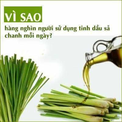 Tinh dầu sả chanh nguyên chất lọ 100ml