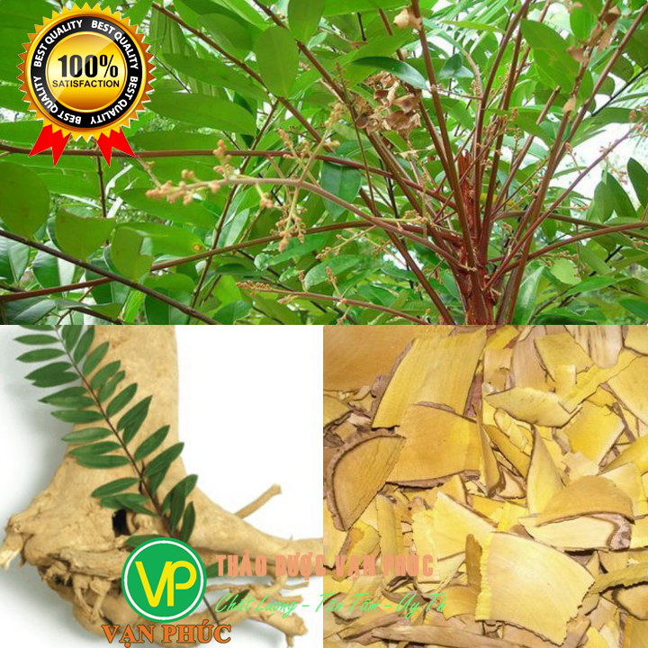 [XẢ KHO HCM] Rễ mật nhân 500gam - Thơm ngon