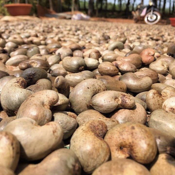 Hạt Điều Rang Muối Nguyên Lụa 250gr