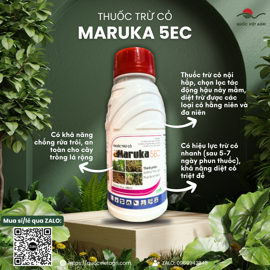 Thuốc trừ cỏ MARUKA 5EC (480ml - 900ml) - Quizalofop P ethyl 50g/l Diệt cỏ lồng vực, cỏ túc, mần trầu, đuôi phụng, cỏ ống, chân gà, cỏ chỉ, lúa rài