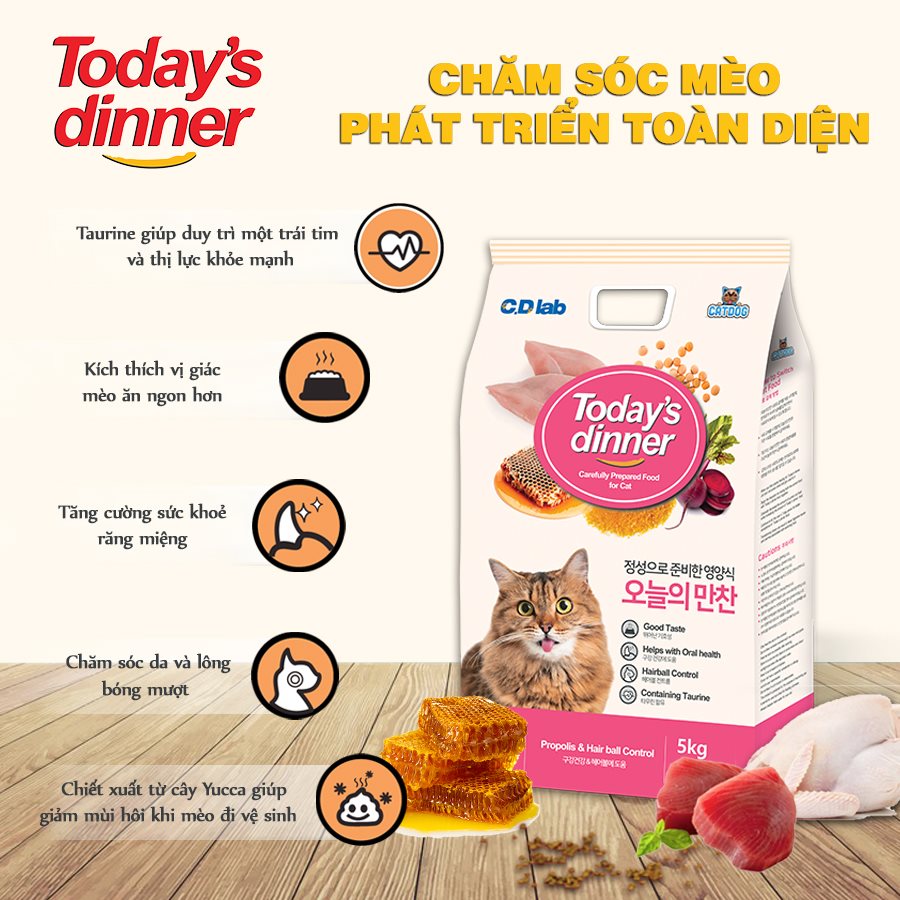 (Mua 1 TẶNG 2 HÀNG MẪU) Today's dinner 1kg -  Hạt thức ăn cho mèo mọi lứa tuổi
