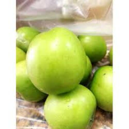 COM BO 2 Cây giống Táo Đại: chuẩn giống F1 cho năng suất cao +Tặng 3 cây chè xanh