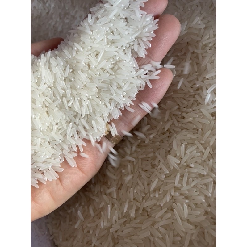 Combo 2 Bao Gạo ST25 (5 Ký ) Dẻo Thơm