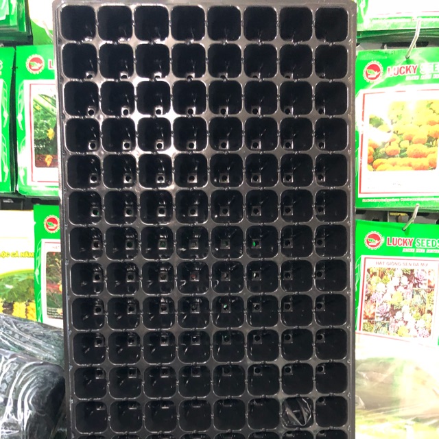 10 KHAY NHỰA GIEO ƯƠM HẠT GIỐNG (128 lỗ)