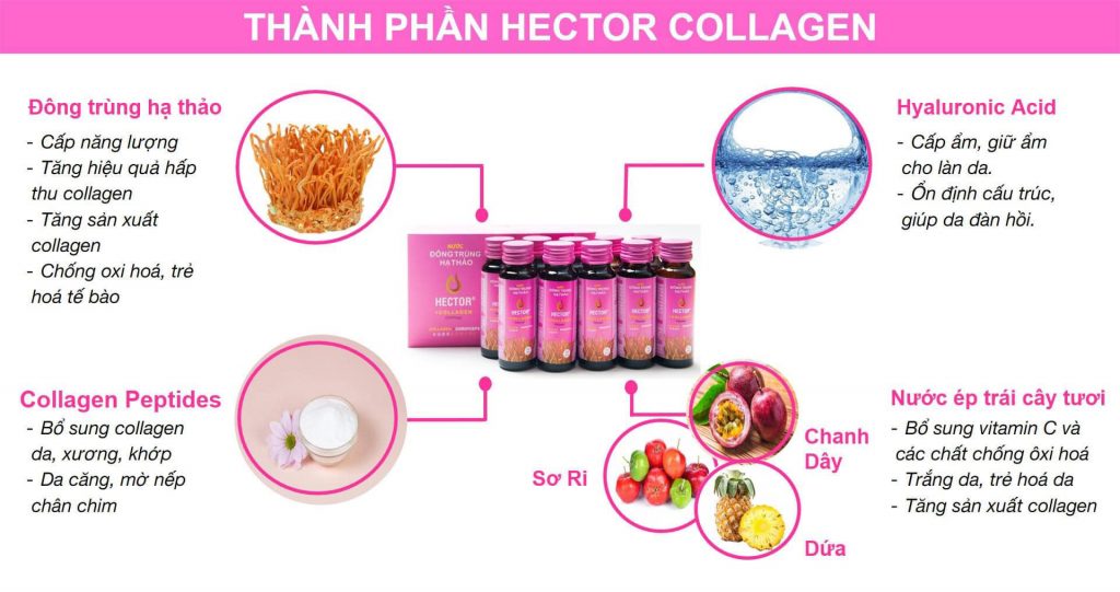 [HCM]NƯỚC UỐNG ĐÔNG TRÙNG HẠ THẢO HECTOR COLLAGEN ( COMBO 1 HỘP 10 CHAI )