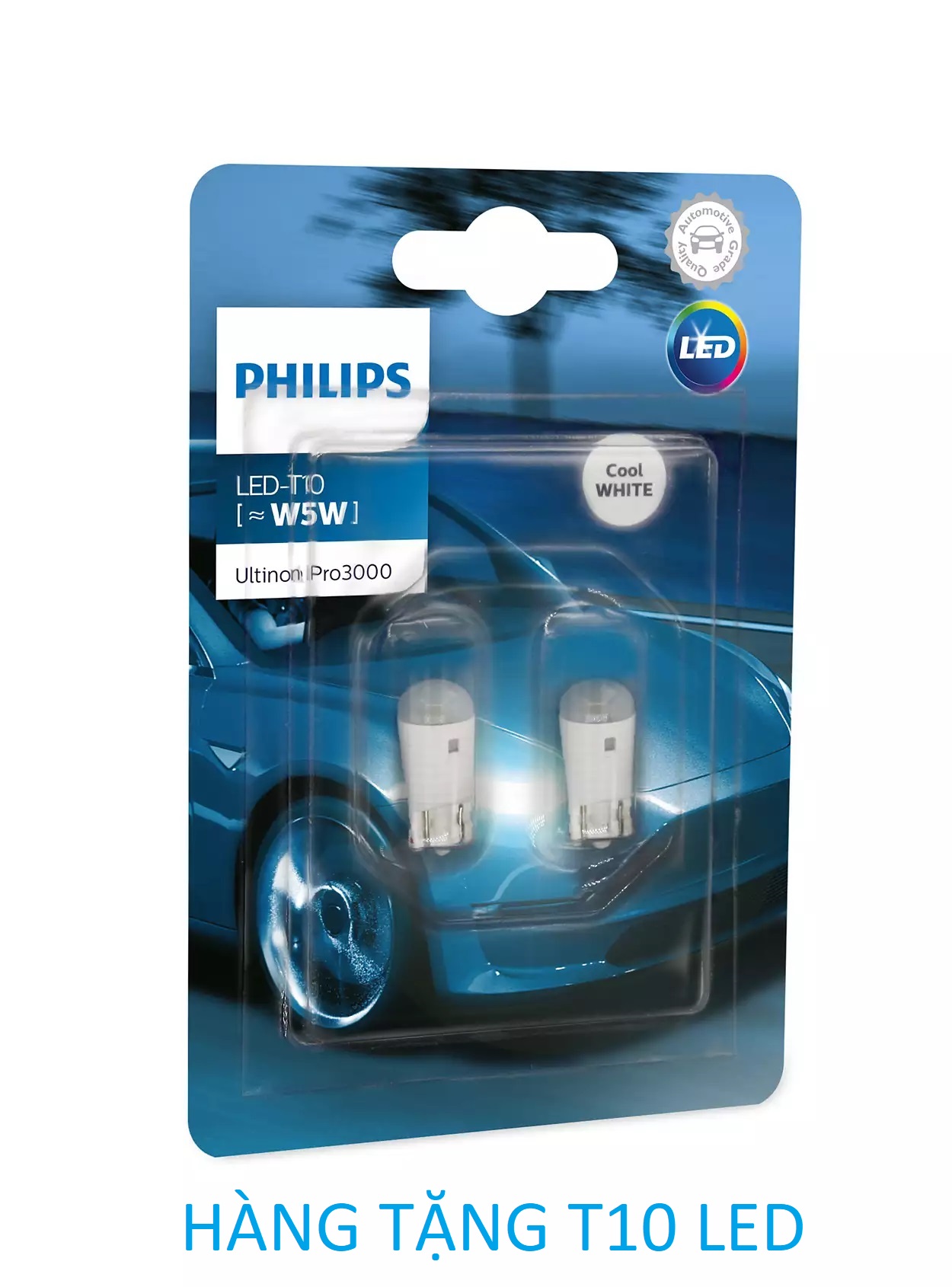 [TẶNG T10 LED] Đèn Pha Philips Diamond Vision Chân H7 12V-55/65W 5000K