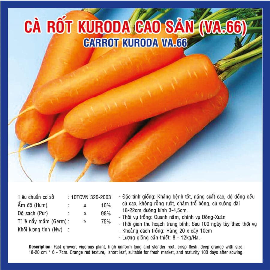 Gói 10 gram hạt giống cà rốt kurado cao sản