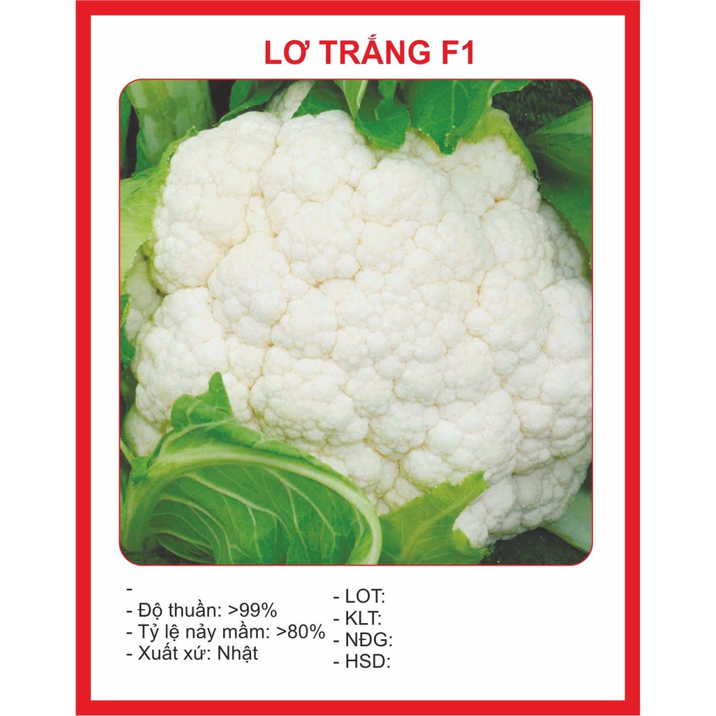 Hạt Giống Súp Lơ Trắng 0.2gr~45 Hạt