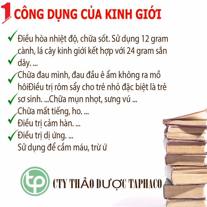 Cây kinh giới khô 1kg - Thảo Dược Tấn Phát
