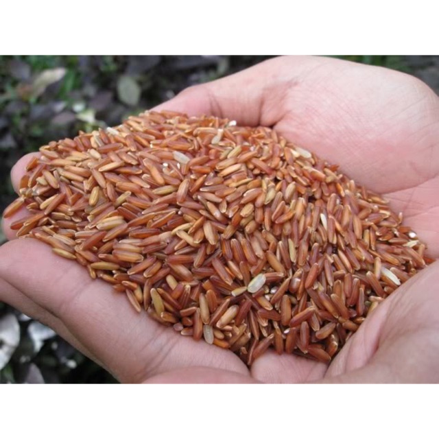 Gạo lứt đỏ 1kg