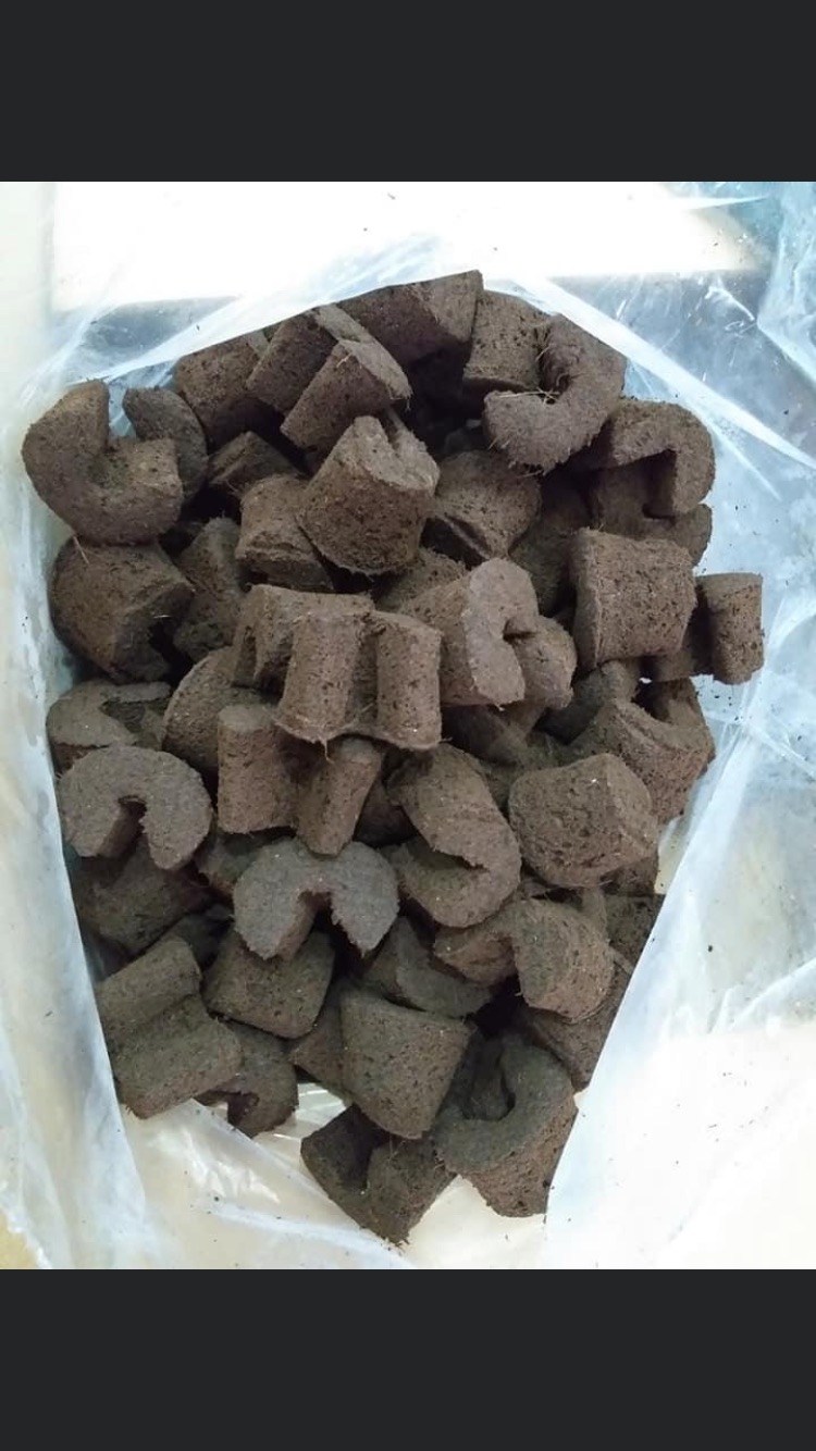 Mút ươm kie 10 viên