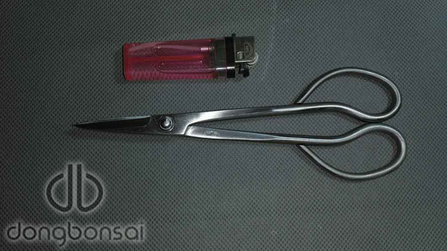 Kéo tỉa Ryuga RS-01