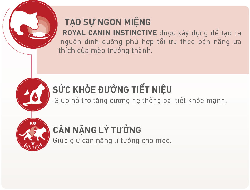 Pate ROYAL CANIN INSTINCTIVE cho mèo lớn (Gravy/Jelly/Loaf) 85gr - [Nông Trại Thú Cưng]