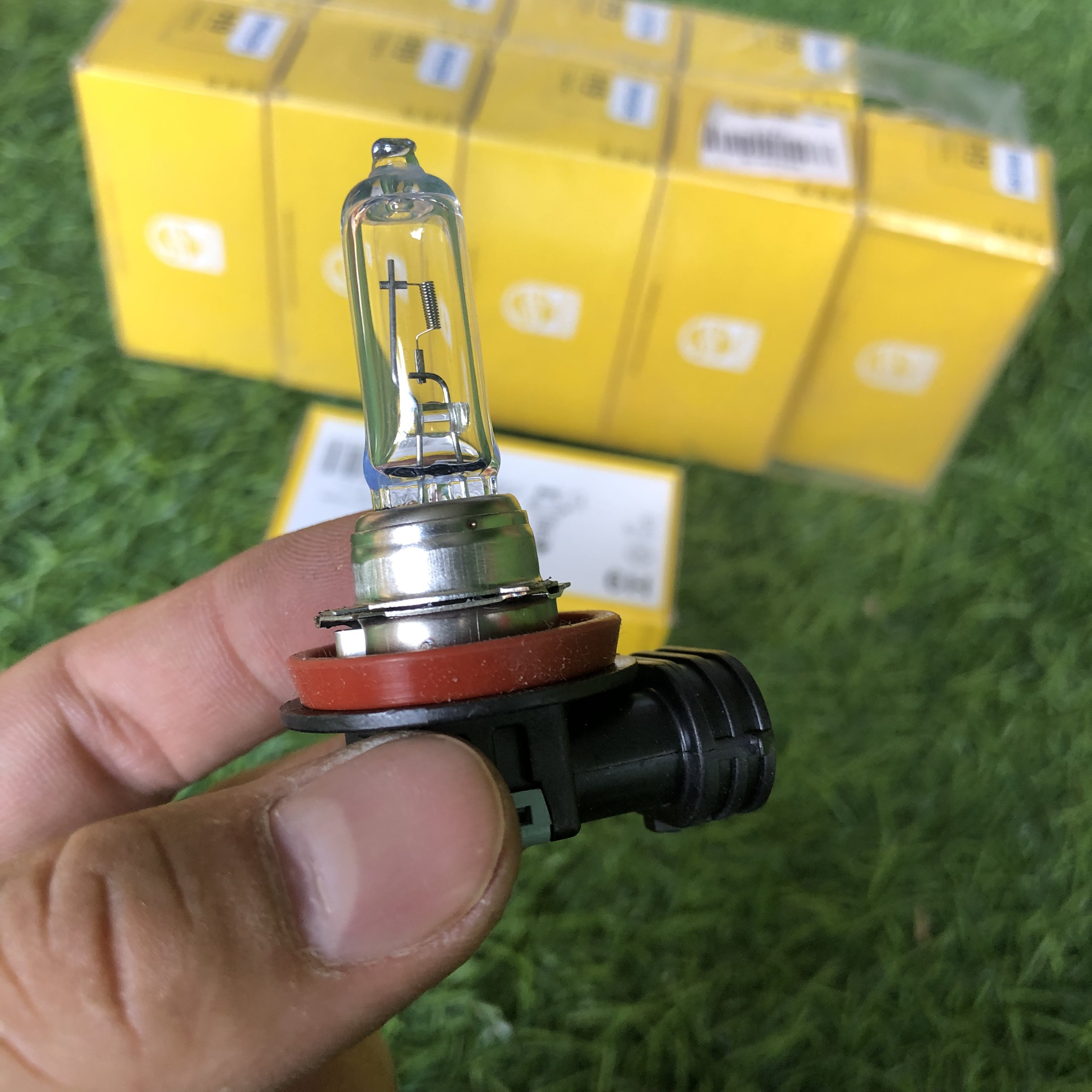 BÓNG ĐÈN Ô TÔ CHÂN H9 12V PHILIPS