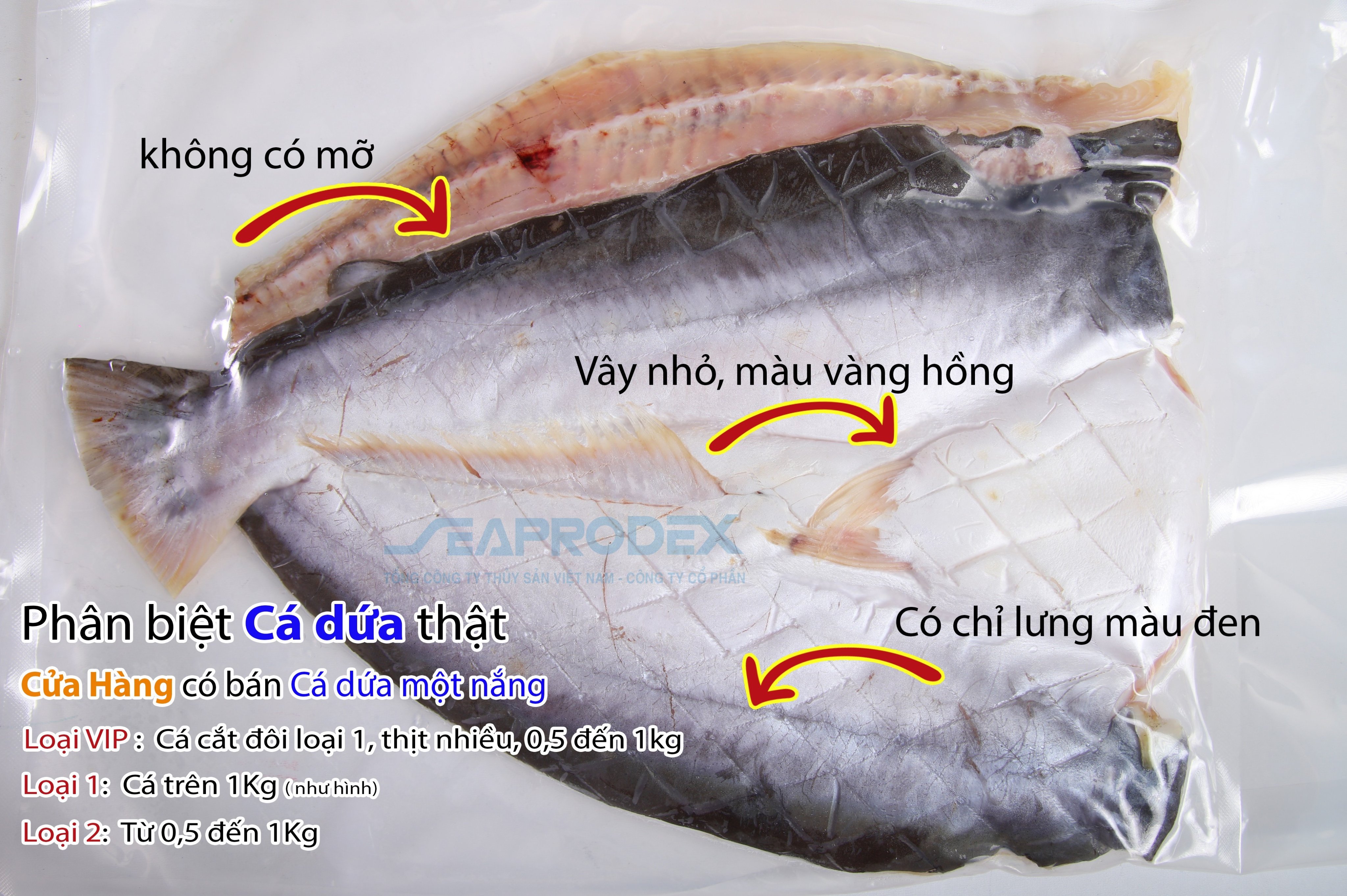 Cá dứa một nắng - (trọng lượng dưới 1kg/con)