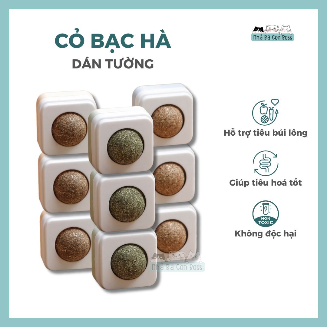 [Phụ Kiện] Cỏ Bạc Hà (Catnip) Dán Tường Cho Mèo