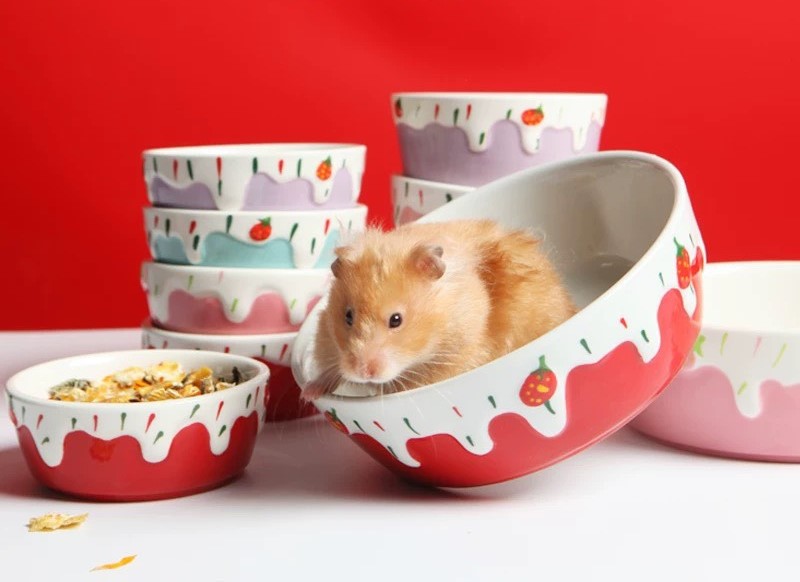 chén sứ kem dâu cho hamster, thỏ, bọ,chó, mèo - T3 PETS SHOP
