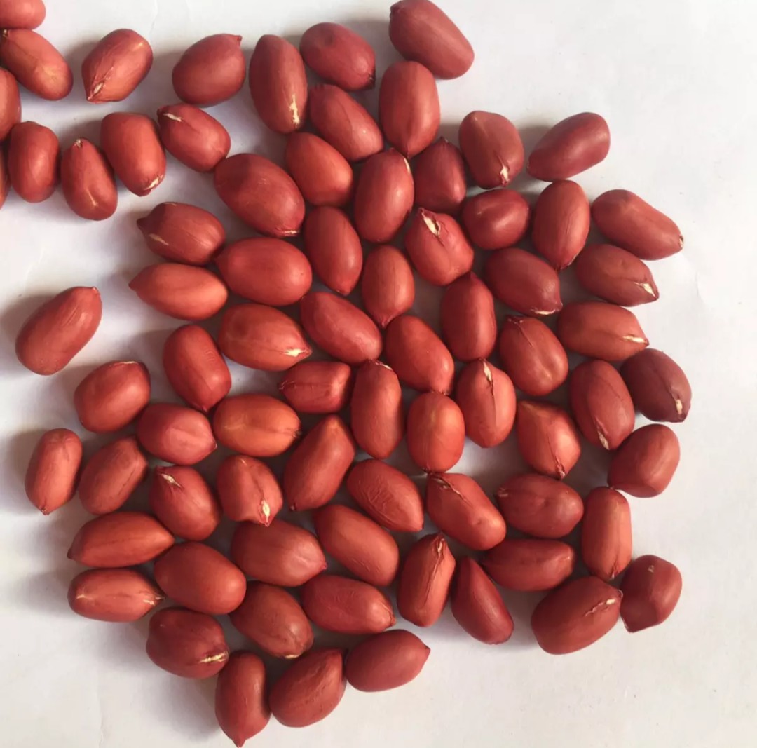 Lạc đỏ Nam Định/Lạc đỏ/ Đậu Phộng đỏ/ 1kg