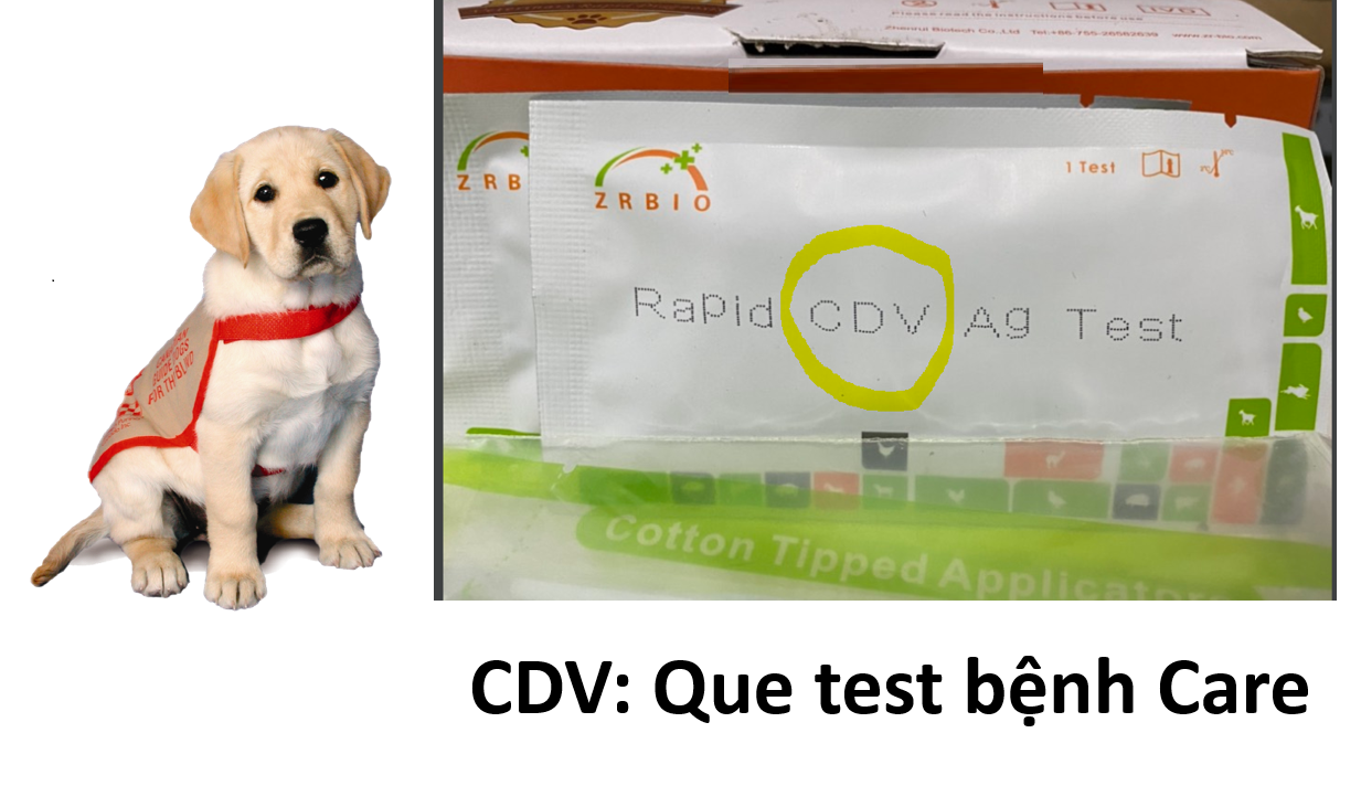 Test bệnh thú cưng que thử bệnh chó mèo Parvo Care FPV
