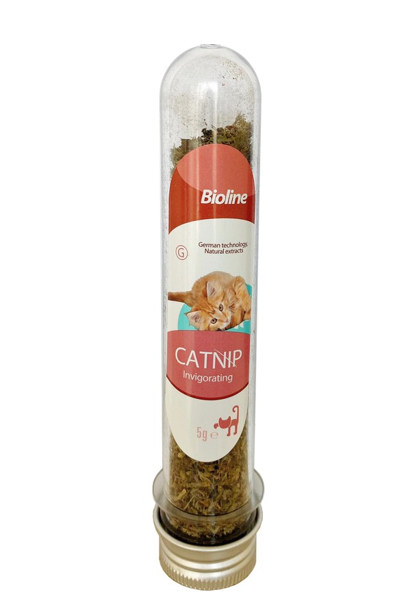 CATNIP CỎ MÈO