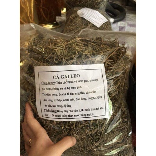 Trà Cà gai leo SAPA (sấy khô) gói 1 kg dùng thử