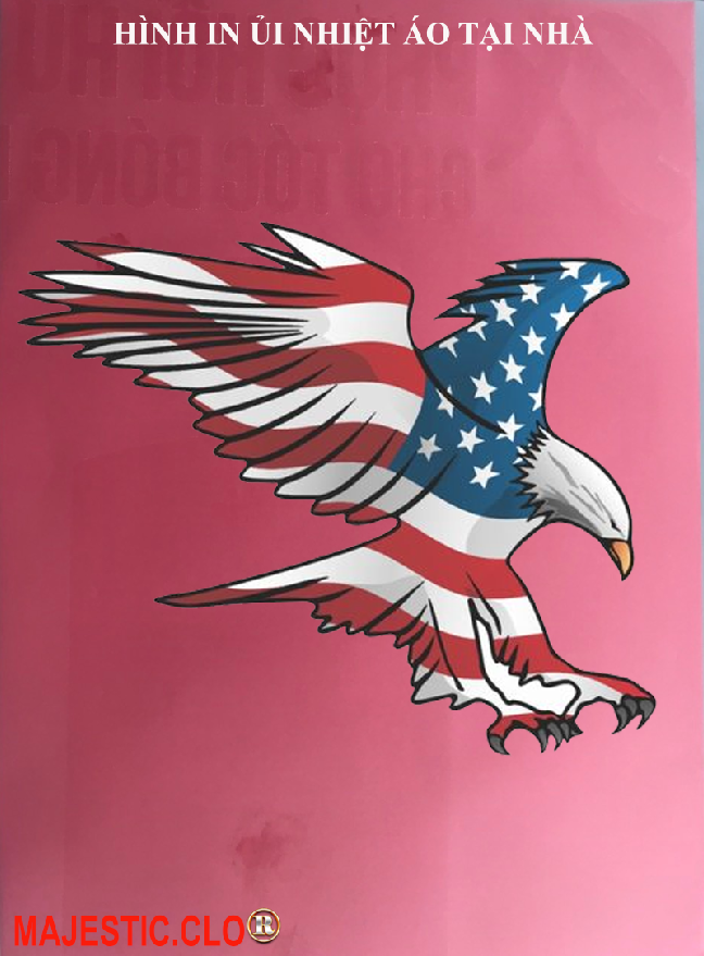 Hình ủi ép nhiệt-hình in áo- Logo American Eagle-Hình IN ÁO TẠI NHÀ RẤT ĐẸP-khuyến mãi -in pet chuyển nhiệt- ủi trực tiếp lên vải-MAJESTIC.CLO
