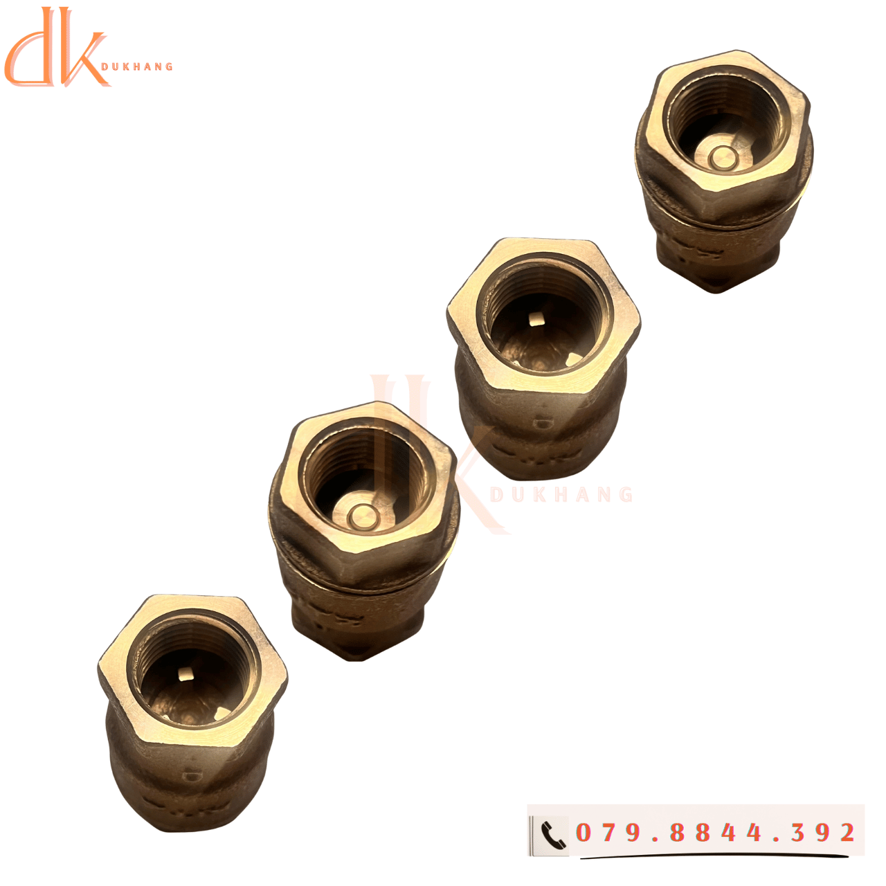 Van 1 chiều lò xo thau kitz