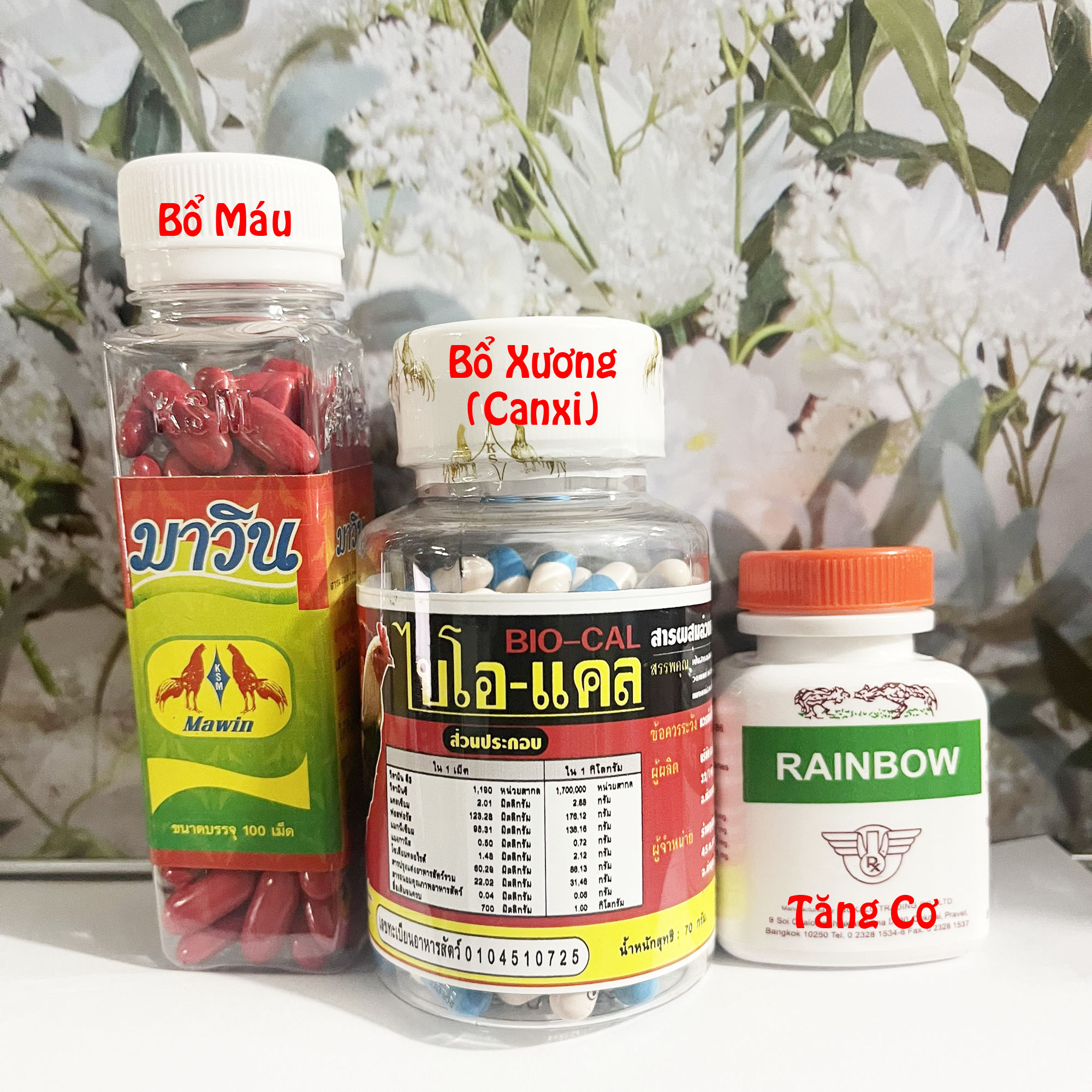 Combo nuôi bổ máu-bổ xương-tăng cơ