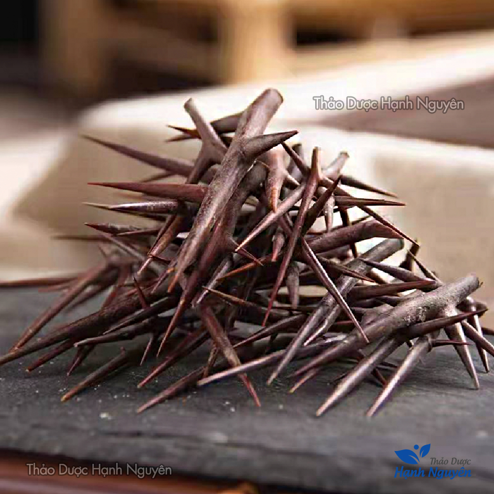 Gai bồ kết khô 1kg (Tạo giác thích)