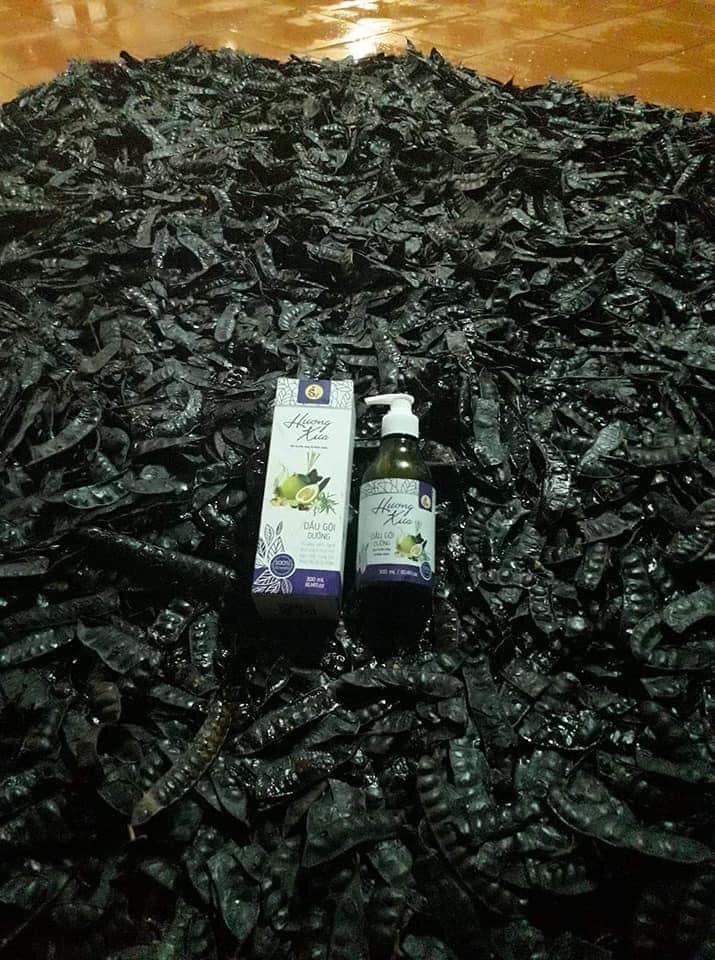 Dầu gội thảo mộc Hương xưa