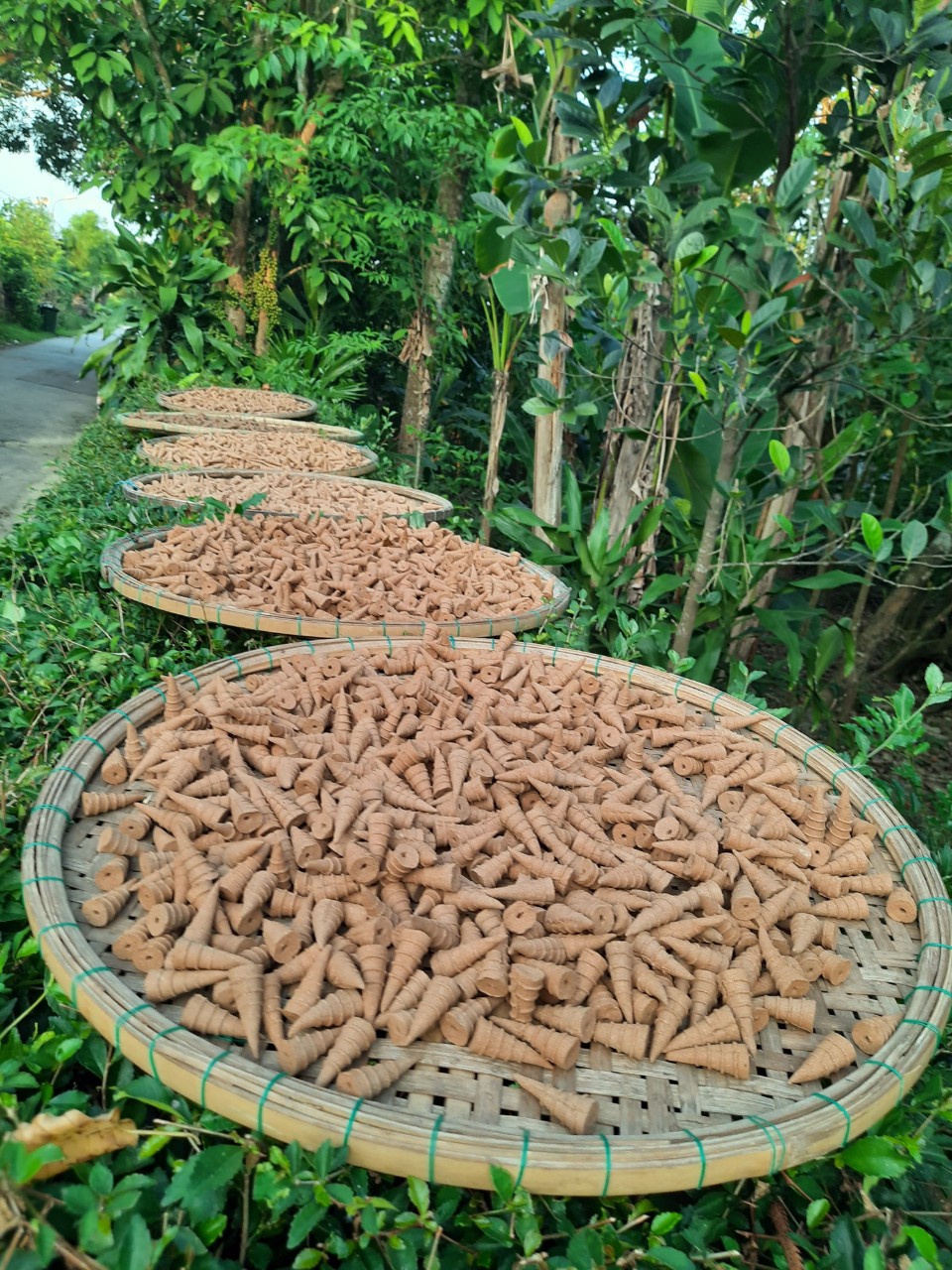 Trâm Hương Huế 250 gram ( hơn 100 nụ thơm tinh khiết từ gỗ trầm hương )