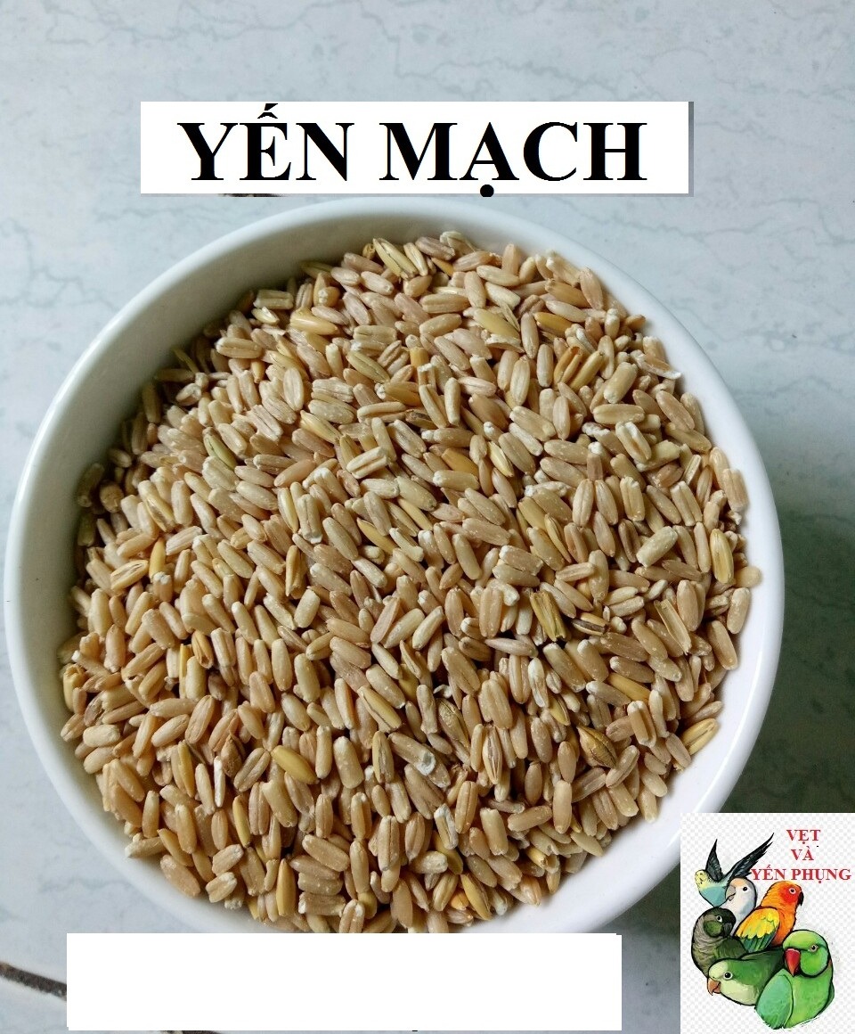 500GRAM HẠT YẾN MẠCH BÓC VỎ CHO CHIM,VẸT,THÚ CƯNG.