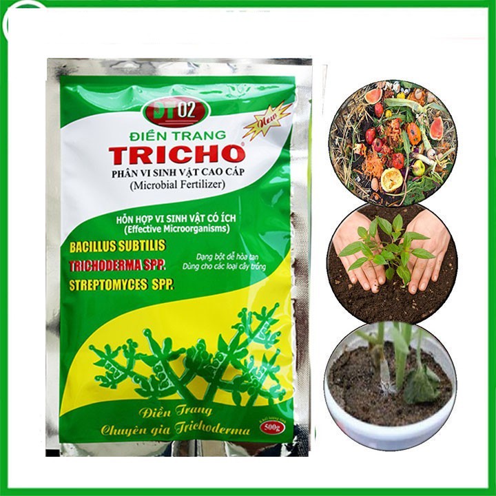 Nấm đối kháng Trichoderma 500gram Công ty Điền Trang - Men vi sinh hiệu quả phòng trừ nấm cây trồng và dùng ủ phân