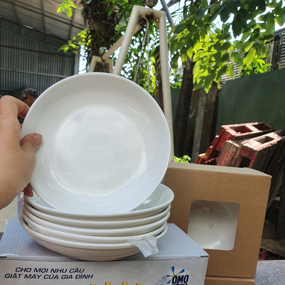 Combo 10 dĩa sứ trắng dày đẹp