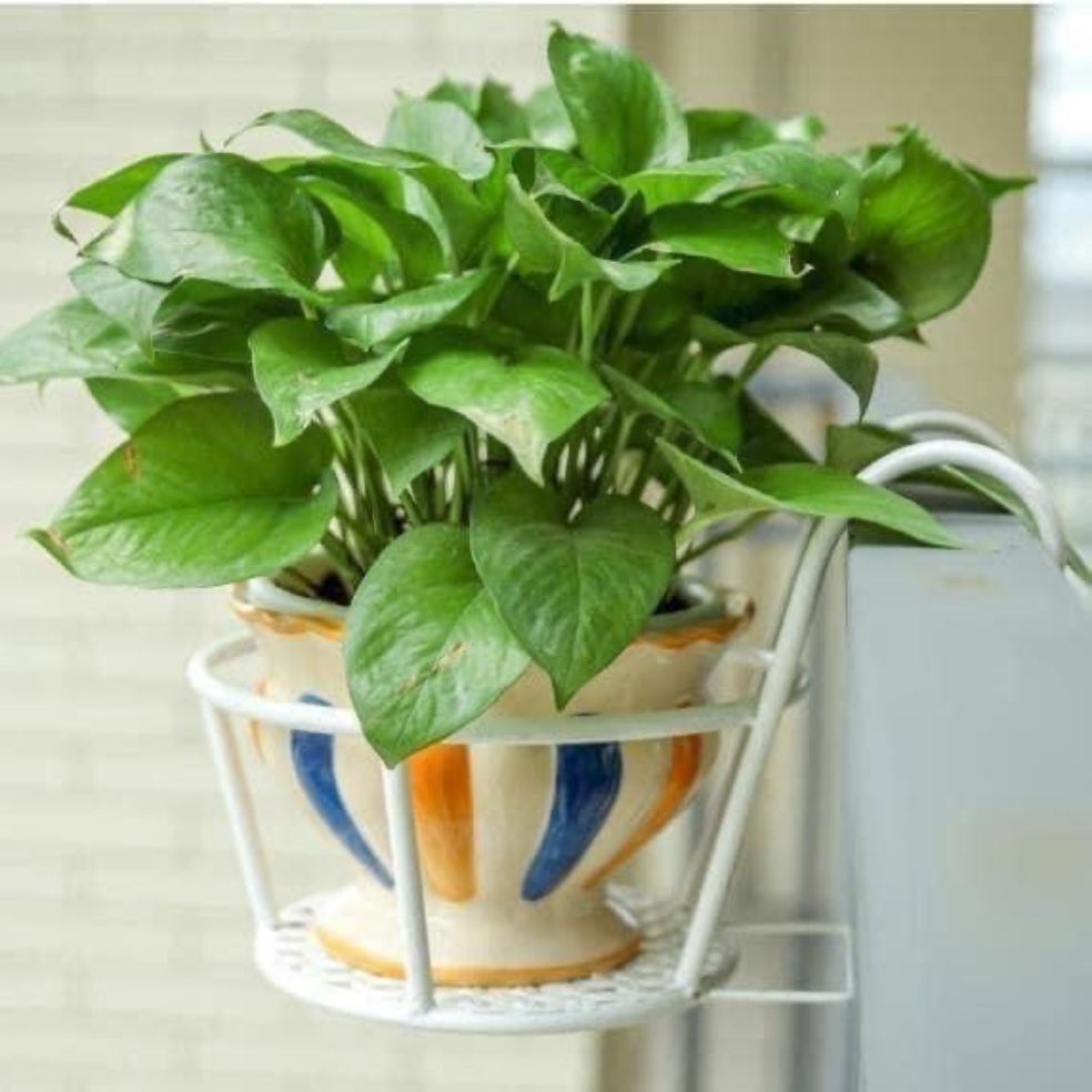 Combo 5 Giá sắt treo chậu hoa ban công, cửa sổ. Kích thước 22 x 18 x 18cm. Hàng dày loại 1. Không gỉ