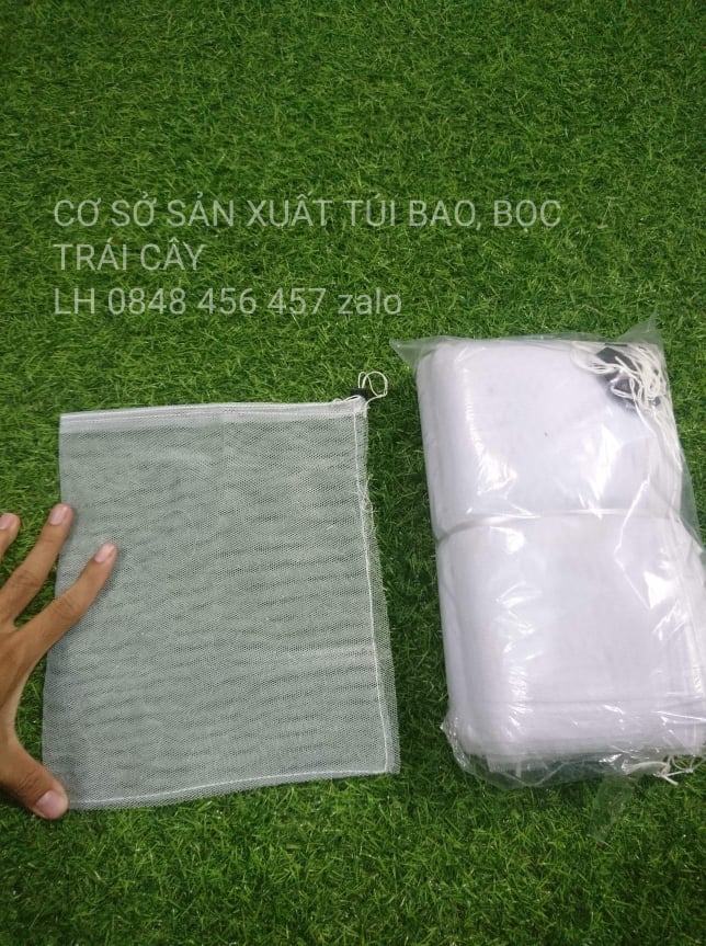 100 CÁI BAO,BỌC NA,CAM,BƠ,ỔI,...KÍCH THƯỚC 20*25