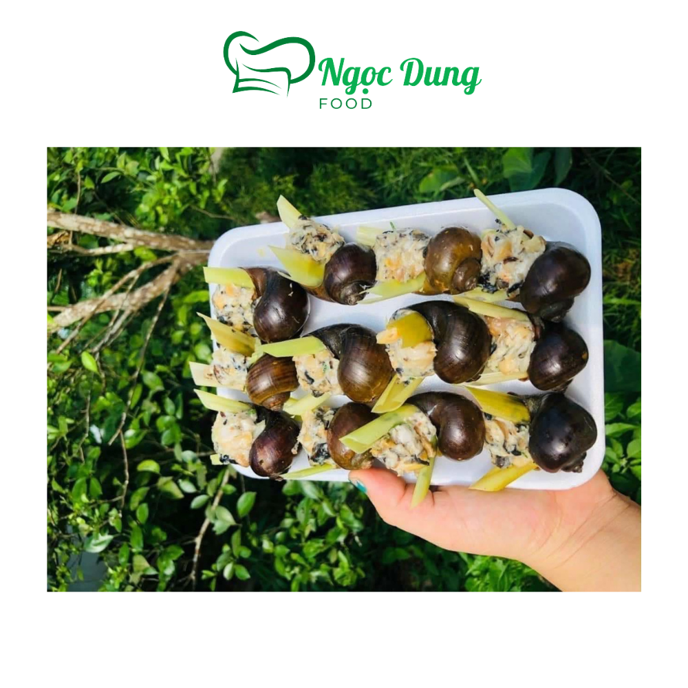 Ốc nhồi thịt khay từ 10-12 con (giao tphcm)