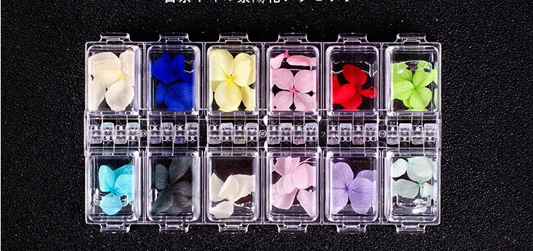 Hoa khô nail trang trí móng cánh to 12 màu