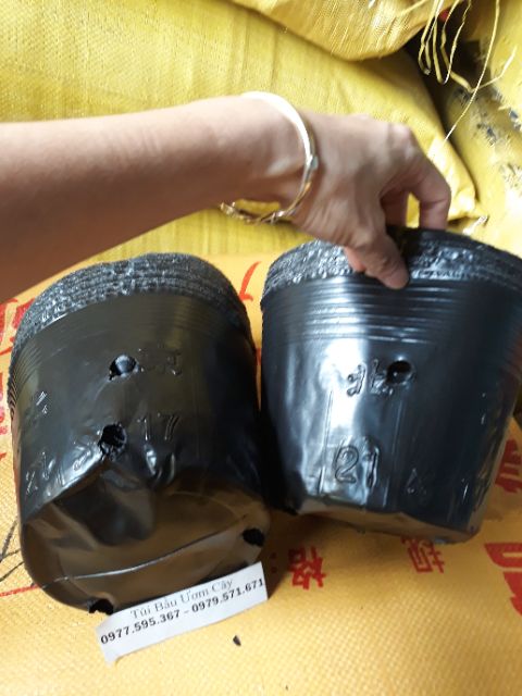 1kg bầu ươm cây 21x17 / 100 cái