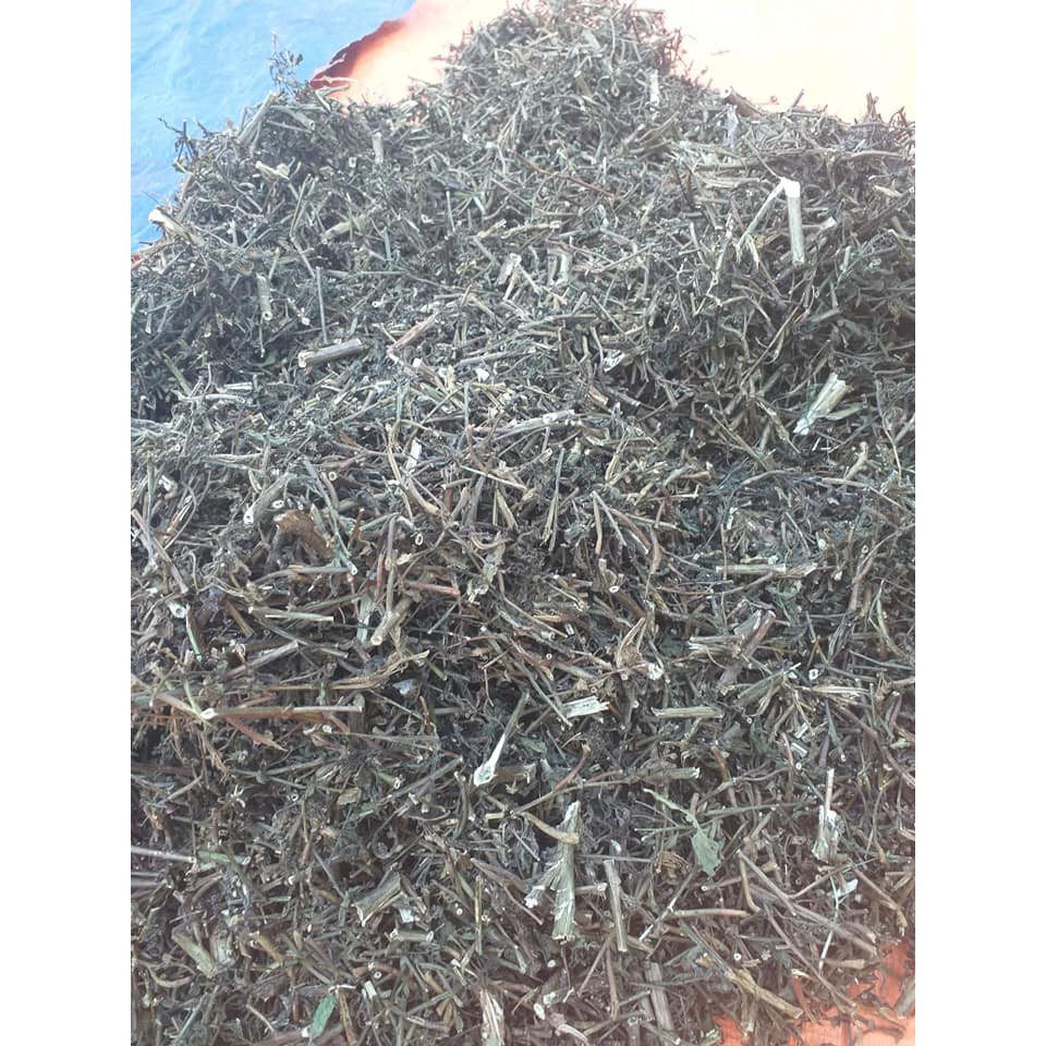 1KG Cây rau mương