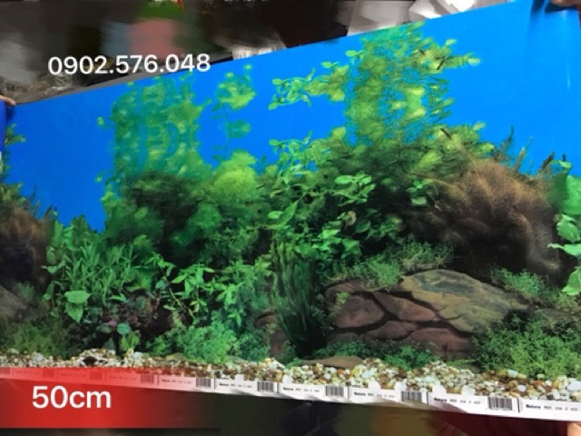 [HCM]Tranh hồ cá cao 50cm 1m