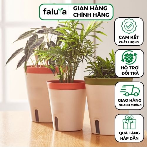 Chậu tự tưới trồng cây cao cấp hình tròn, 3 màu dễ dàng lựa chọn