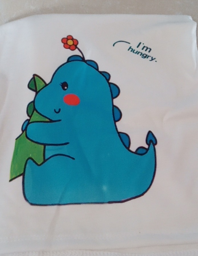 Áo thun đôi( 2 áo) in khủng long cắn đuôi