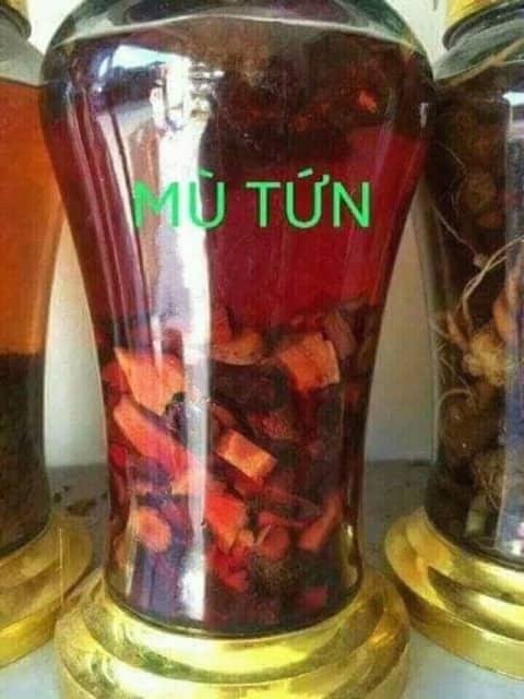 Cây Mú Từn - Tăng cường sinh lý ( Loại VIP 1kg)