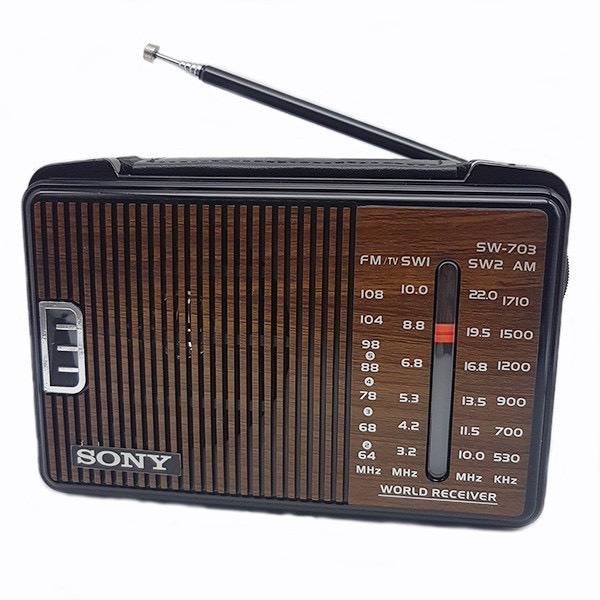 đài radio ws 703 AM / FM