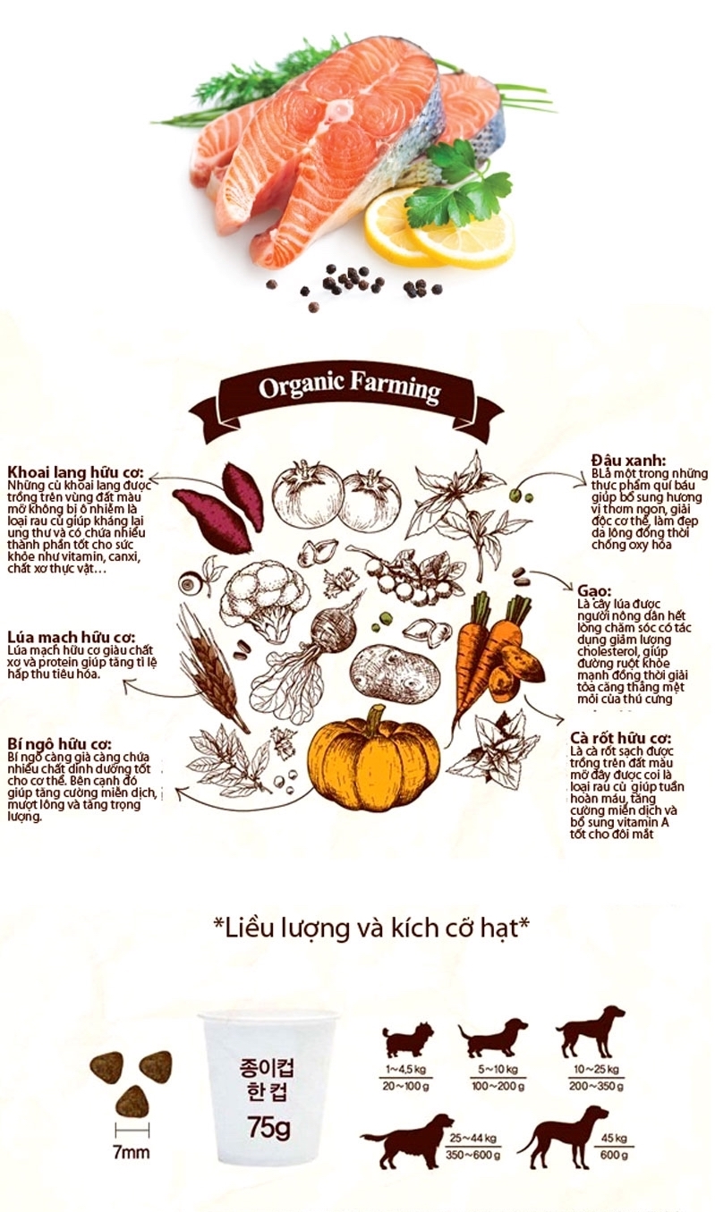 [Gói lẻ 400g] Hạt hữu cơ ANF 6FREE cho chó