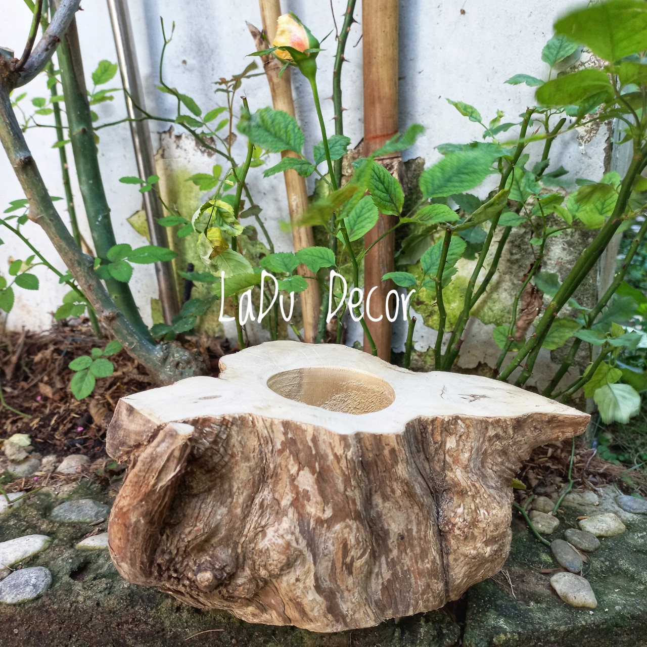 Chậu Bằng Gỗ Cây Cà Phê
